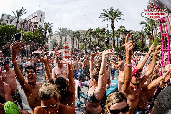 dance-floor-flamingo