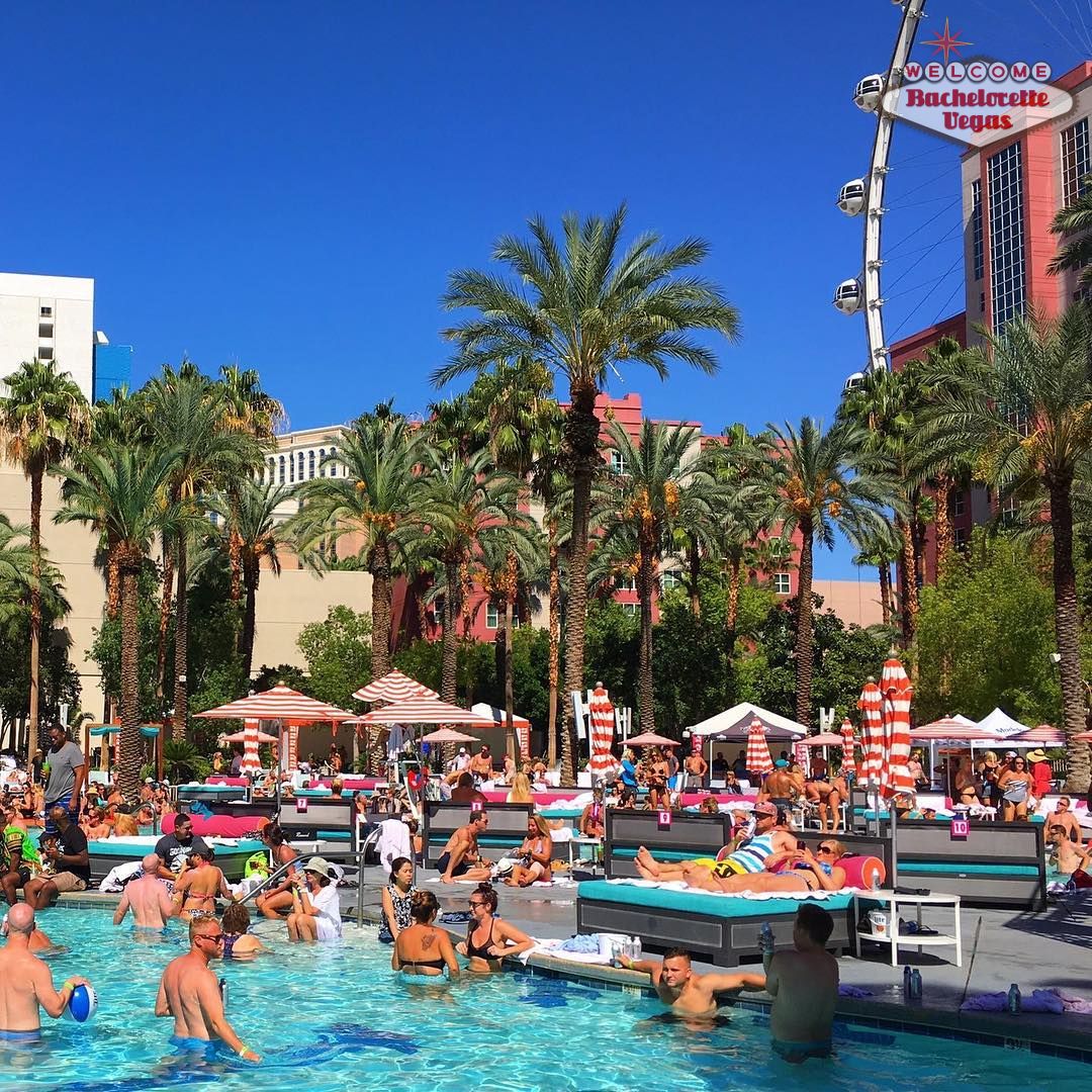 flamingo las vegas pool