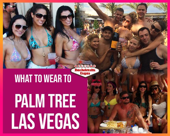 what-to-wear-to-palm-tree-las-vegas-btv