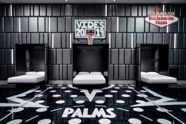palms-basketball-suite