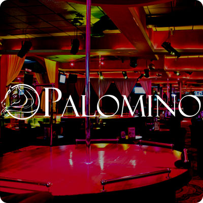 palomino